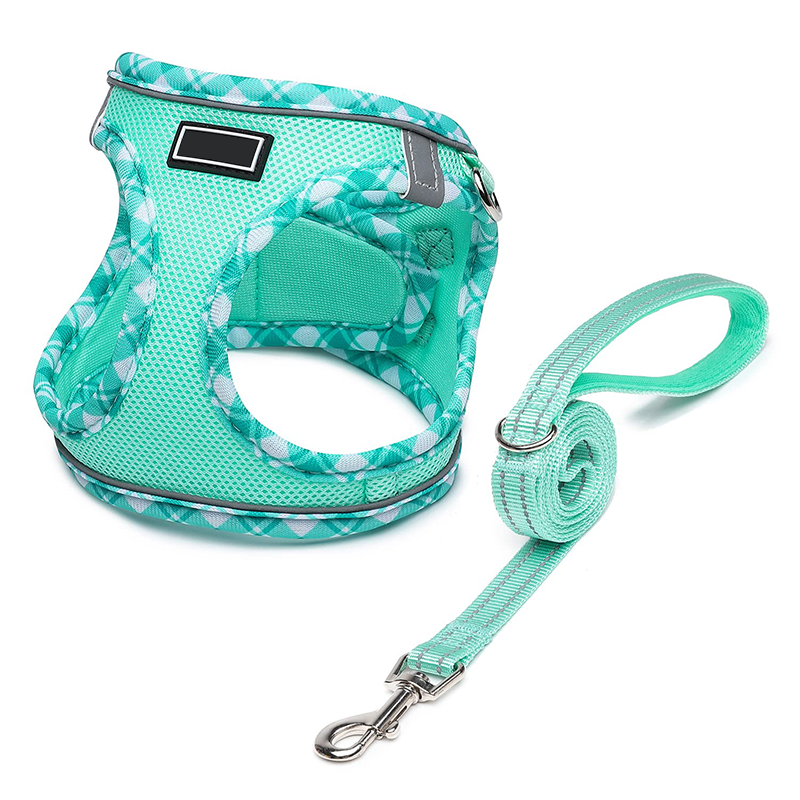 colorful harness