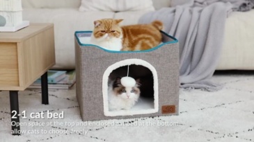 Foldable Cotton Cat Bed