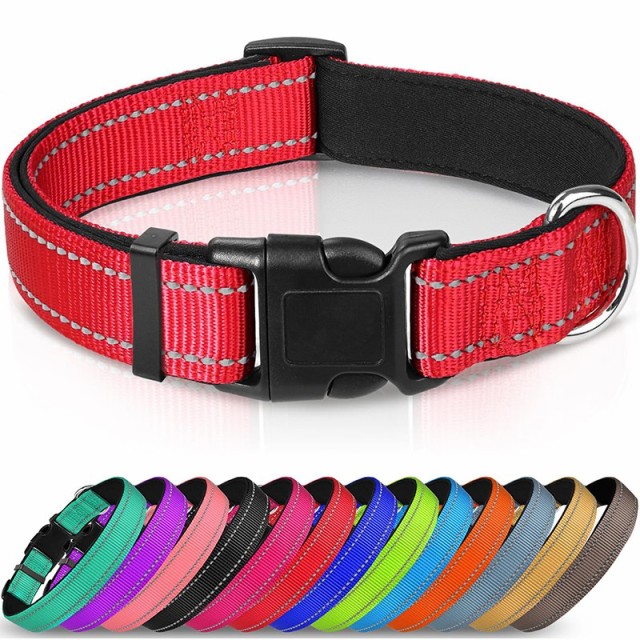 Animal Collars