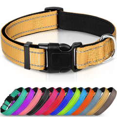 Animal Collars