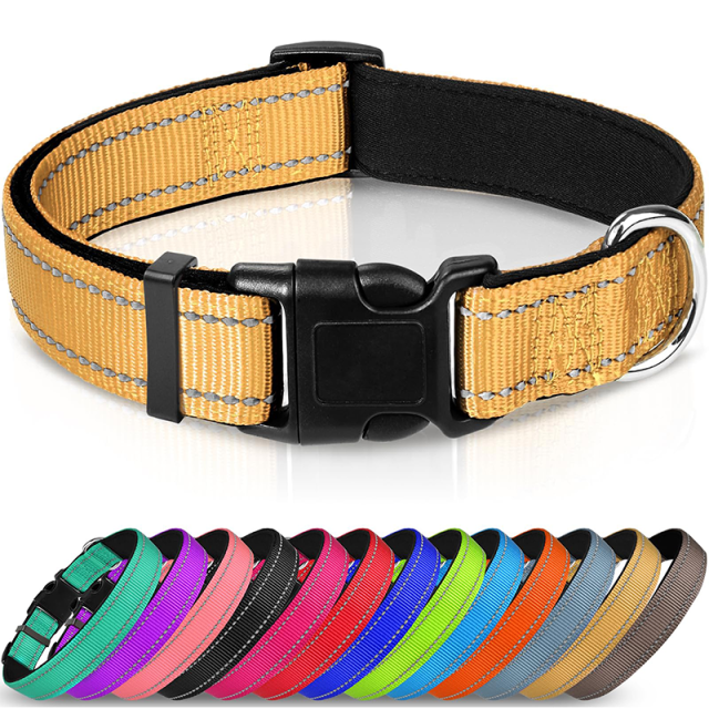 Animal Collars