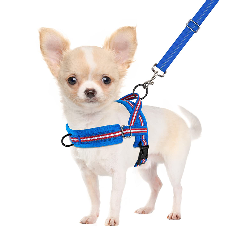 colorful chest harnesses