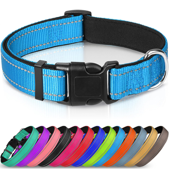 Animal Collars