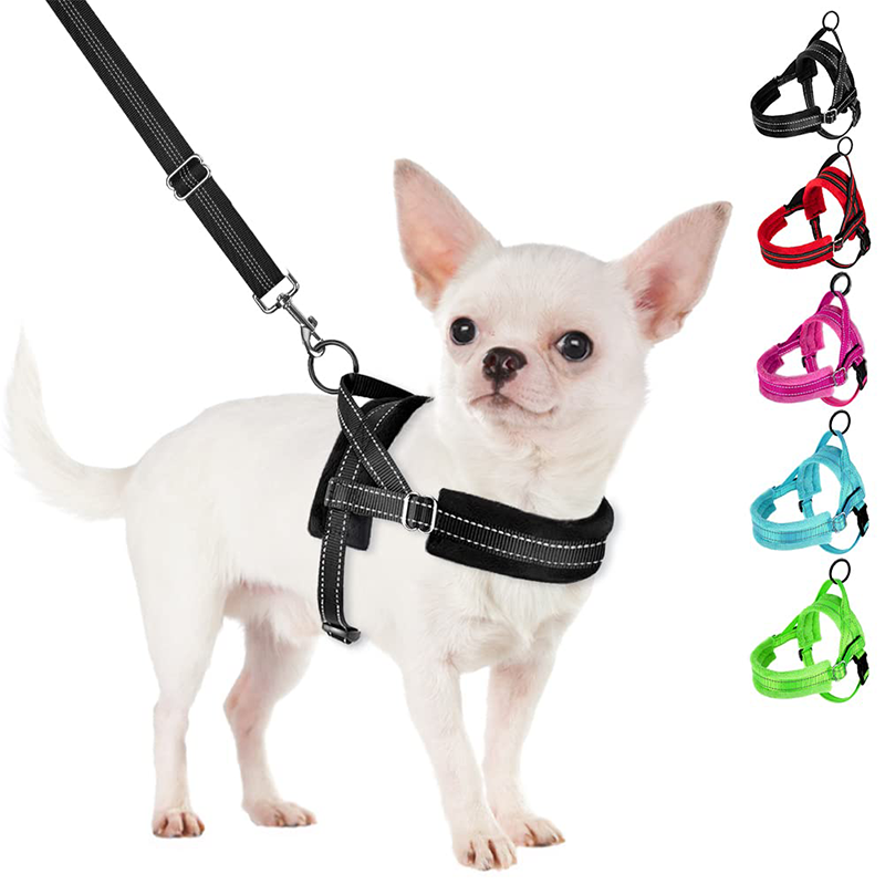 colorful chest harnesses