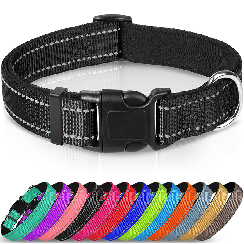 Animal Collars