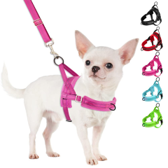colorful chest harnesses