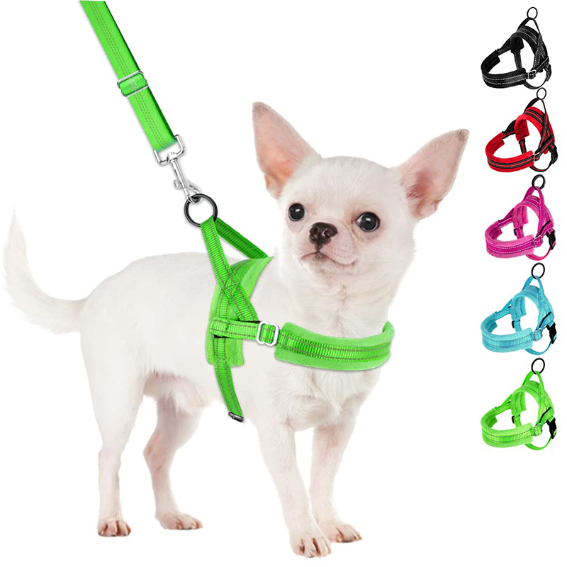 colorful chest harnesses