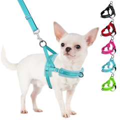 colorful chest harnesses