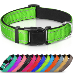 Animal Collars