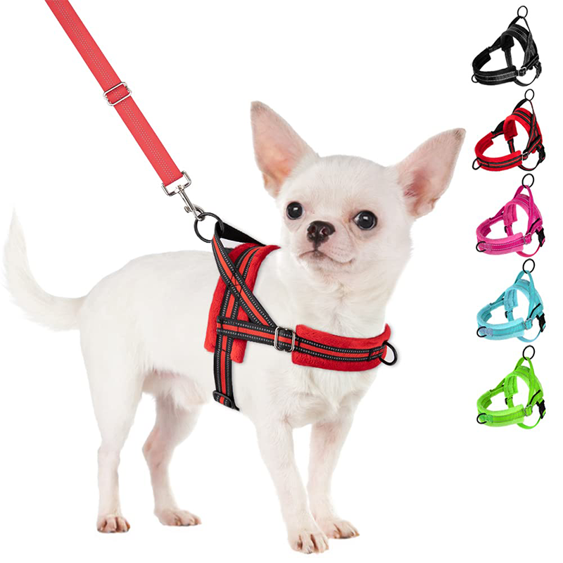 colorful chest harnesses