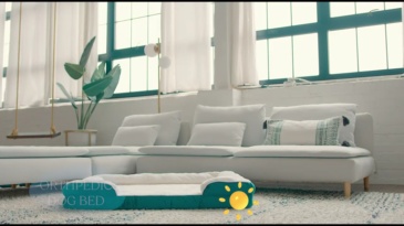 Pet Sofa Products