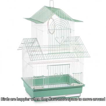 small green bird cage