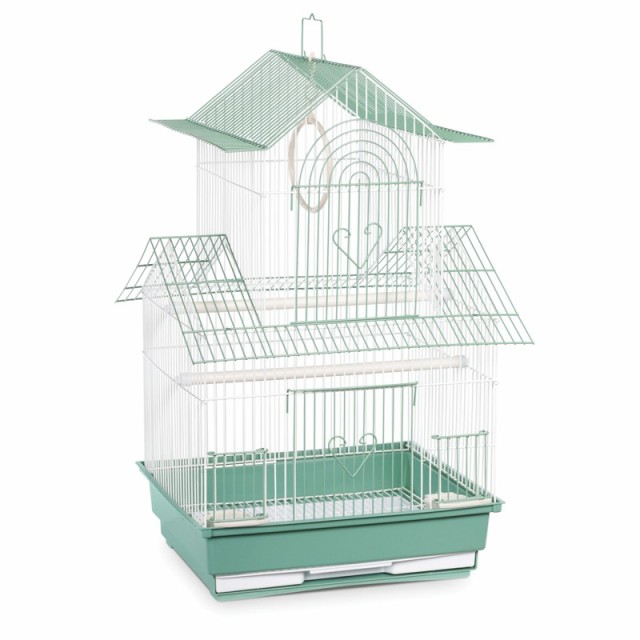 small green bird cage