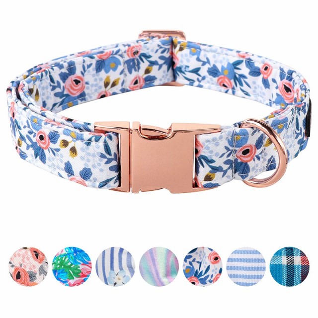 metal pet collar