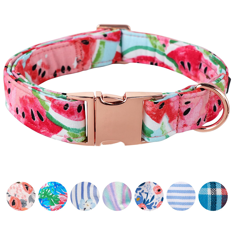 metal pet collar