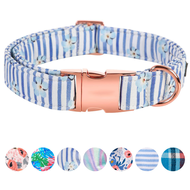 metal pet collar