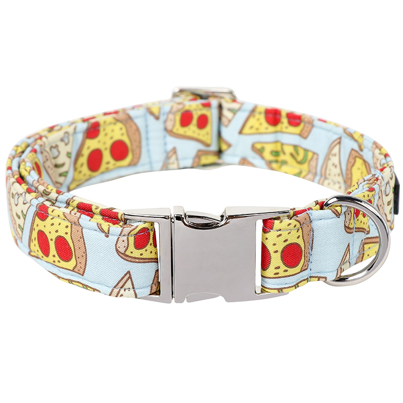 metal pet collar