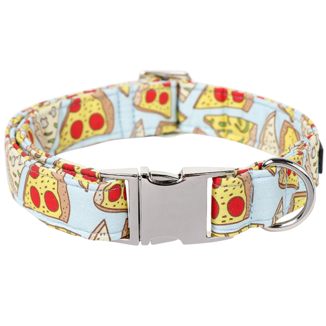 metal pet collar