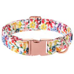 metal pet collar