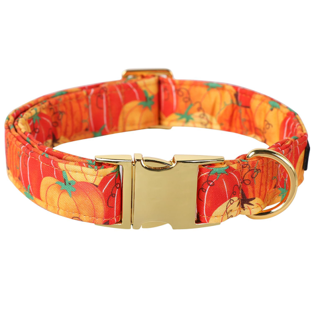 metal pet collar