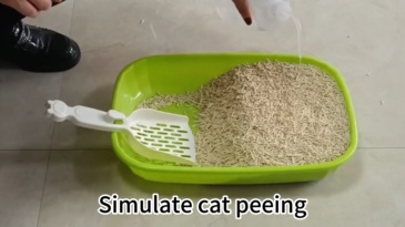 Cat Litter