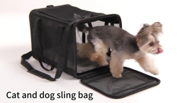 pet backpack