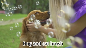 dog grooming brush