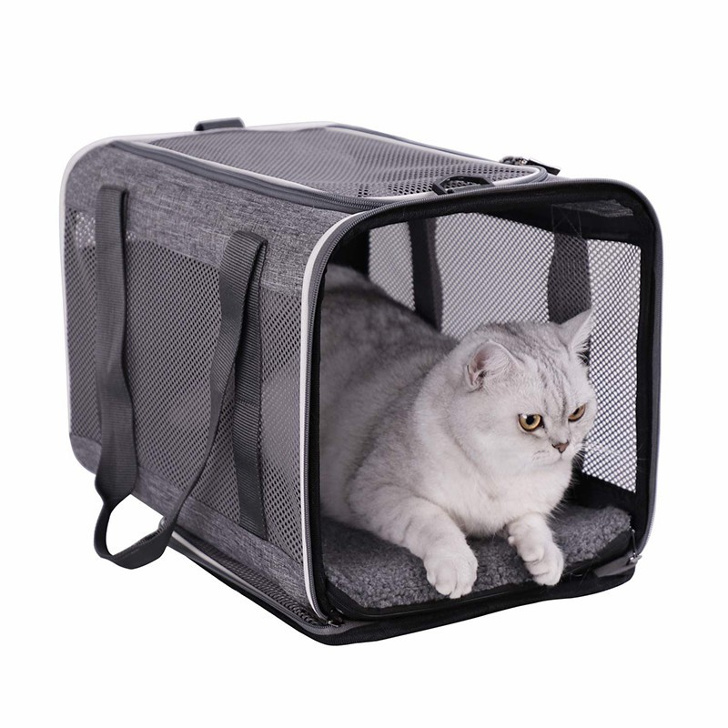 pet backpack