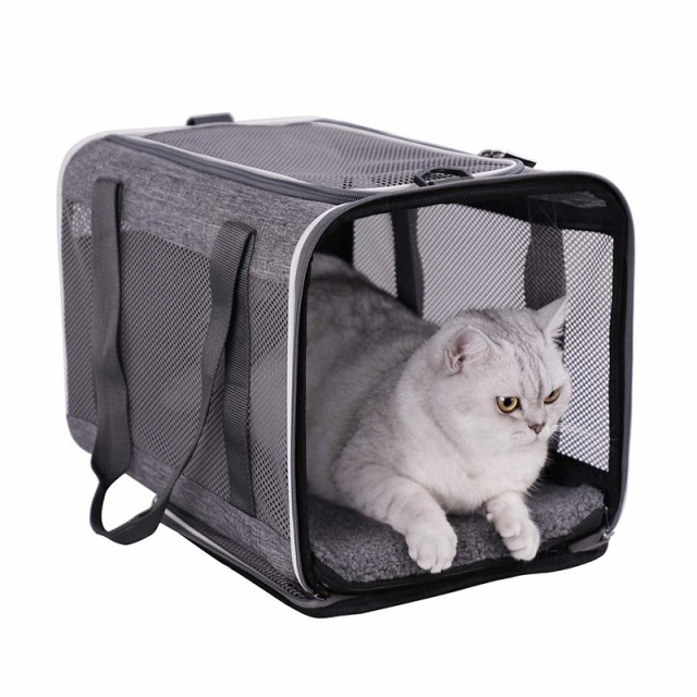 pet backpack