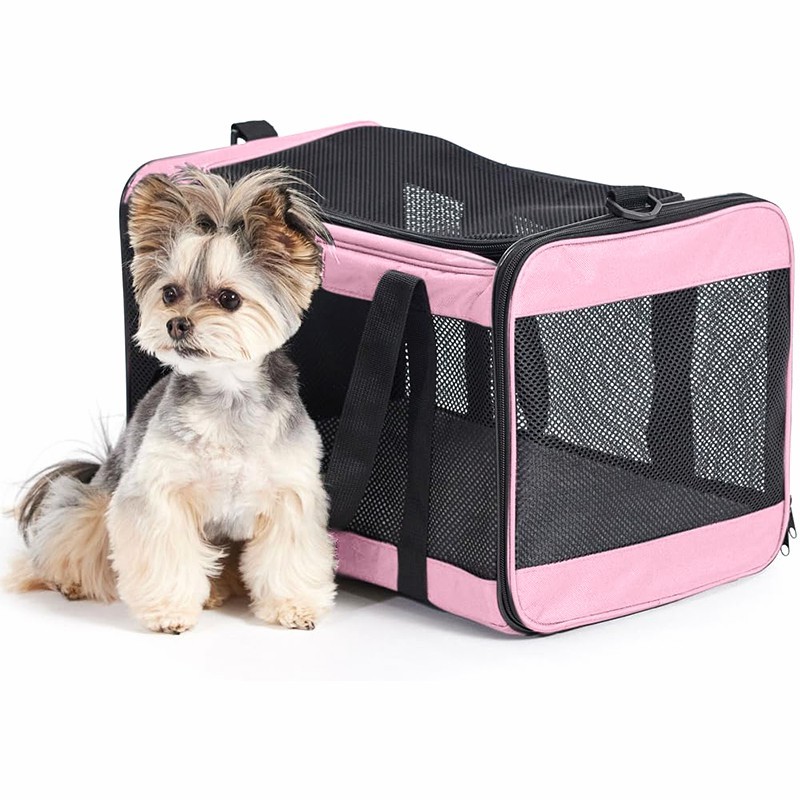 pet backpack