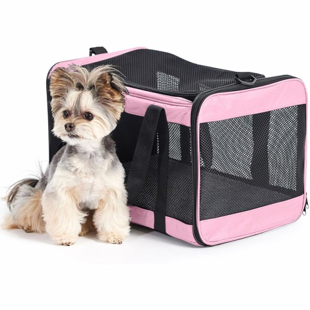 pet backpack