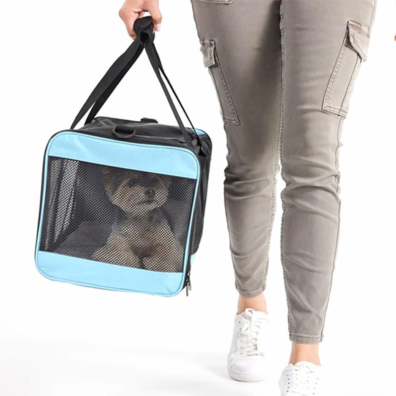 pet backpack