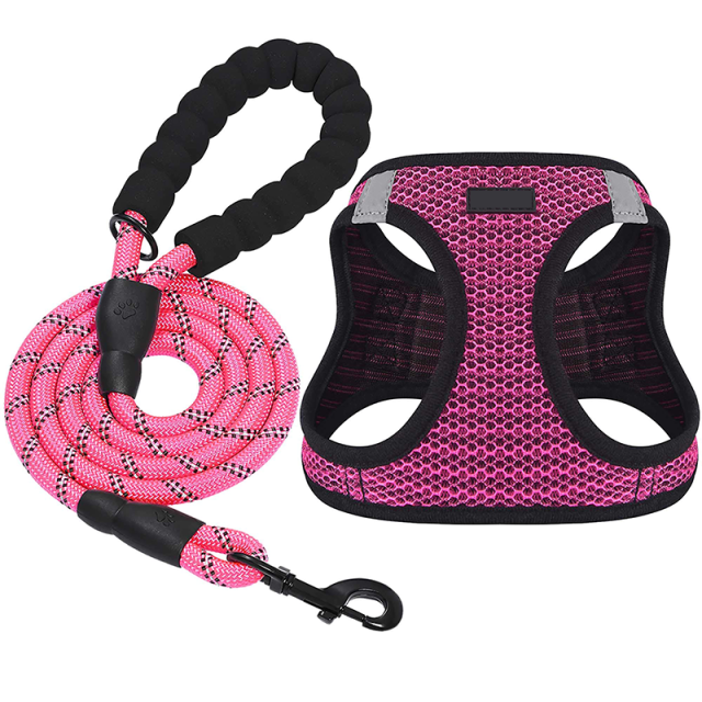 Cotton Small Pet Harness and Leash Set