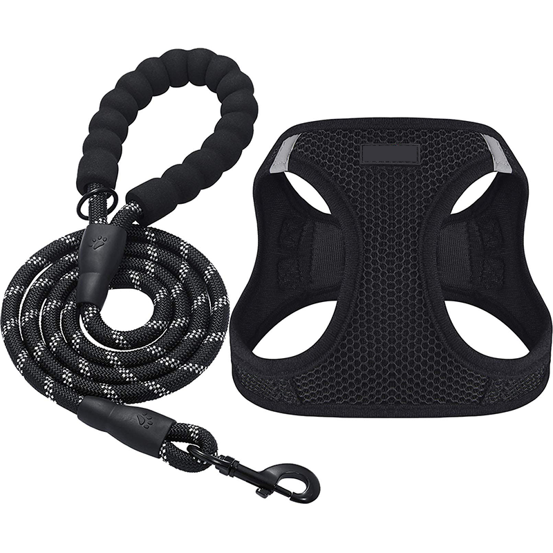 Cotton Small Pet Harness and Leash Set