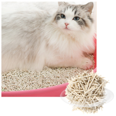 Cat Litter