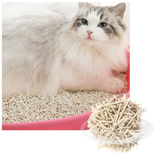 Cat Litter
