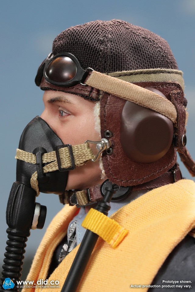 1:6 DID D80190 &amp; E60083 Ace Pilot Full Set Solider Super Figure Model In Stock