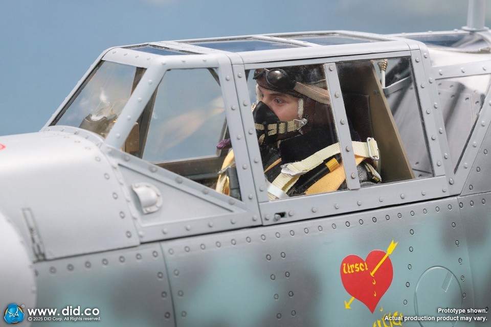 1:6 DID D80190 &amp; E60083 Ace Pilot Full Set Solider Super Figure Model In Stock