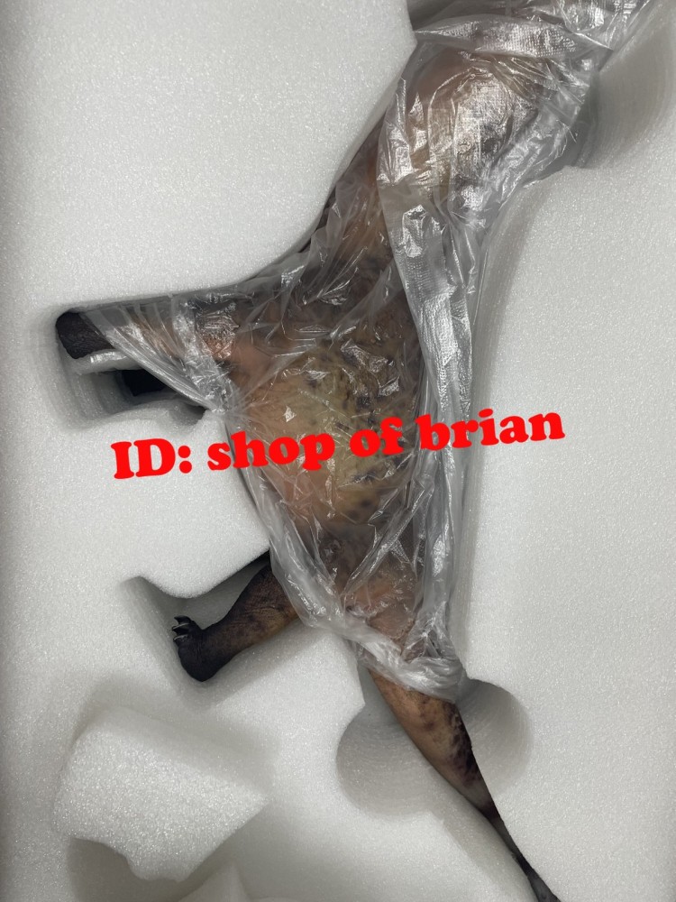 NEW HAOLONGGOOD Argentinosauru<wbr/>s Dinosaur Statue PVC Model Display Model In Stock