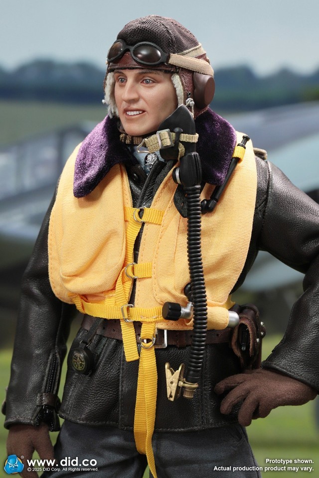 1:6 DID D80190 &amp; E60083 Ace Pilot Full Set Solider Super Figure Model In Stock