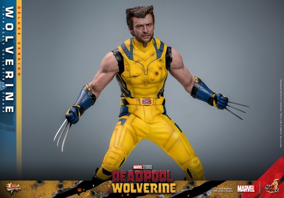 Ready! New Hot Toys MMS754 1/6 Deadpool & Wolverine Wolverine Figure Deluxe