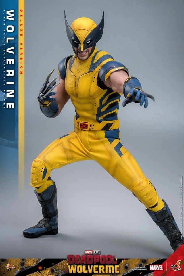Ready! New Hot Toys MMS754 1/6 Deadpool & Wolverine Wolverine Figure Deluxe