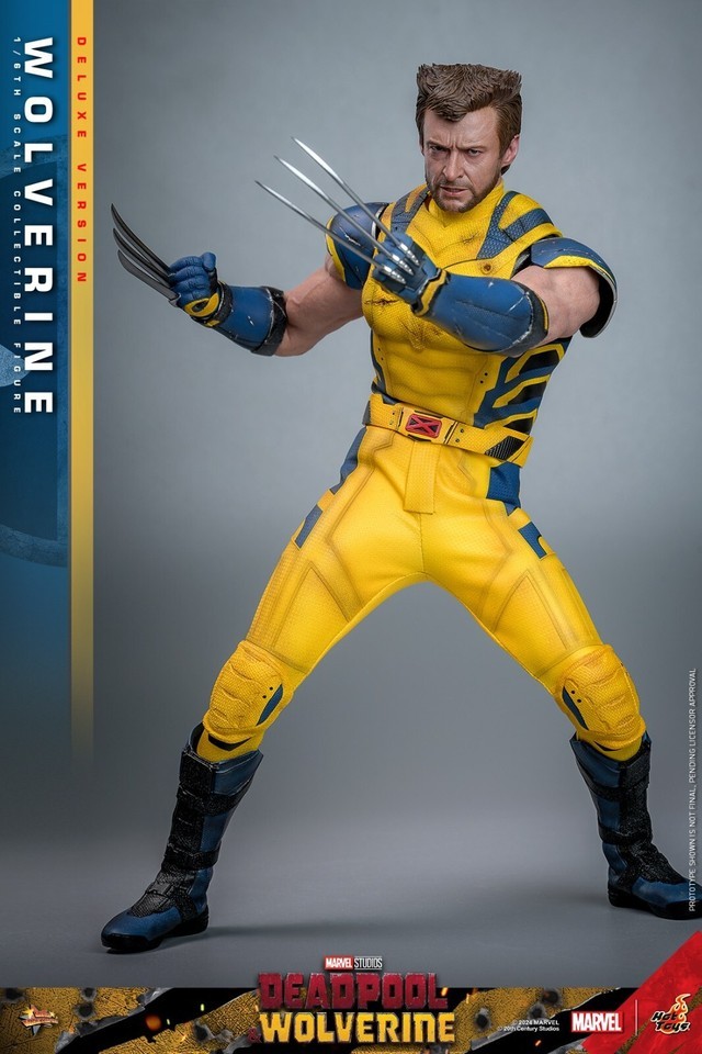 Ready! New Hot Toys MMS754 1/6 Deadpool & Wolverine Wolverine Figure Deluxe