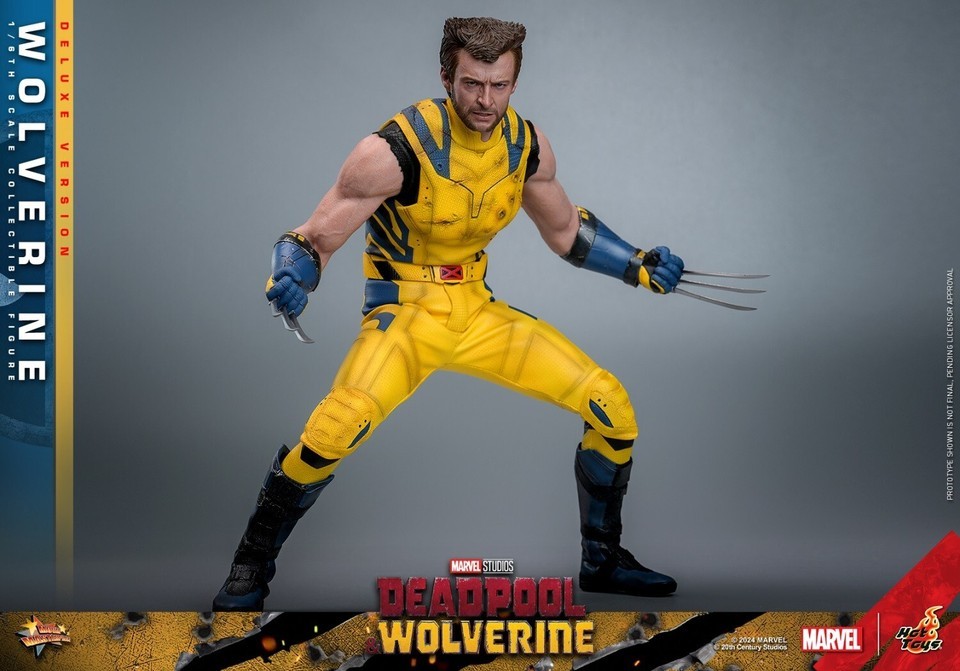 Ready! New Hot Toys MMS754 1/6 Deadpool & Wolverine Wolverine Figure Deluxe