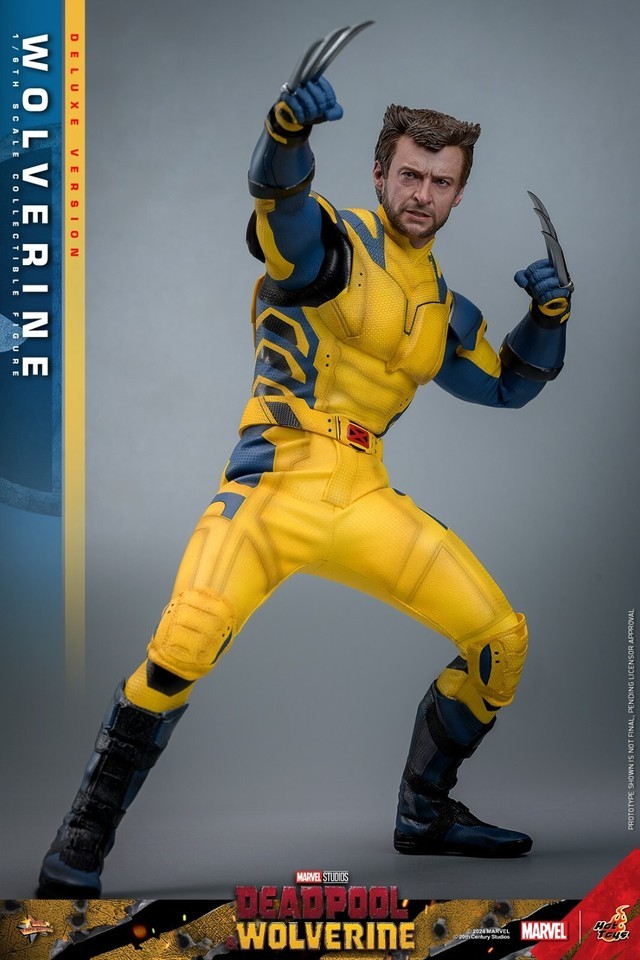 Ready! New Hot Toys MMS754 1/6 Deadpool & Wolverine Wolverine Figure Deluxe