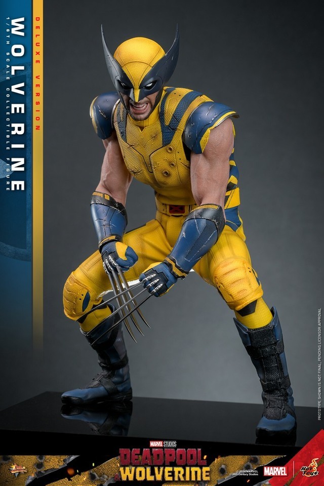 Ready! New Hot Toys MMS754 1/6 Deadpool & Wolverine Wolverine Figure Deluxe