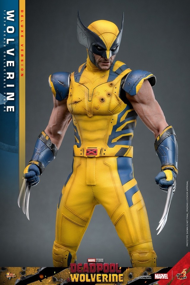 Ready! New Hot Toys MMS754 1/6 Deadpool & Wolverine Wolverine Figure Deluxe