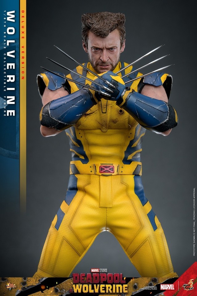 Ready! New Hot Toys MMS754 1/6 Deadpool & Wolverine Wolverine Figure Deluxe