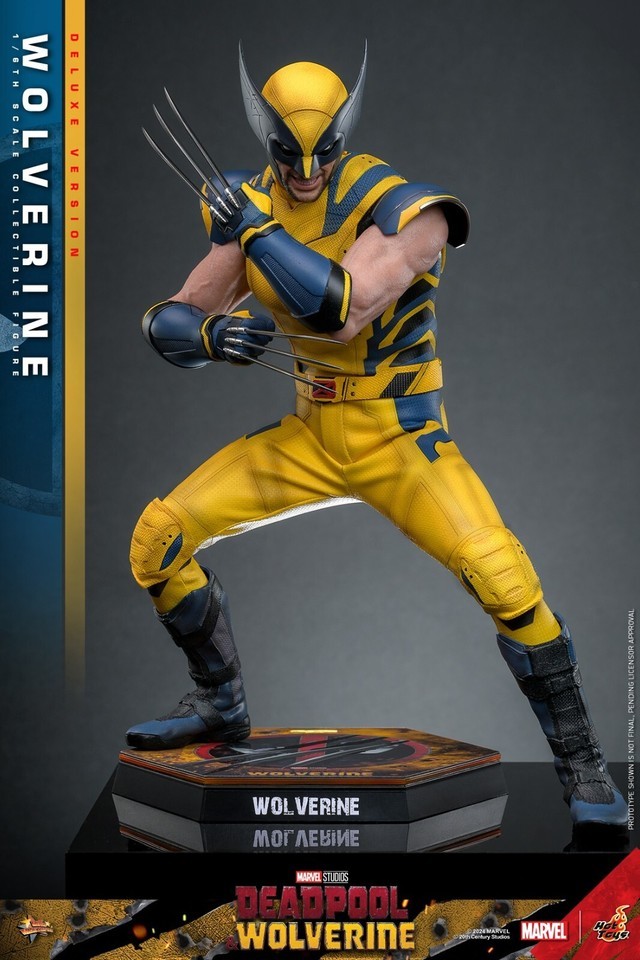 Ready! New Hot Toys MMS754 1/6 Deadpool & Wolverine Wolverine Figure Deluxe