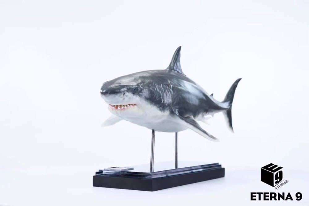 NEW ETERNA 9 Megalodon Marine Animal Static Figurine Model Statue In Stock